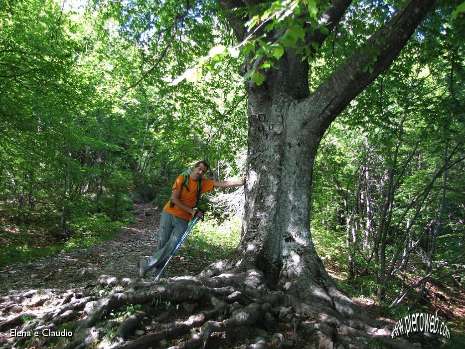 02 Al fresco nel bosco.JPG